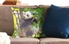 MuchoWow® Zierkissen Sofakissen Wohnzimmer Dekokissen 50x50 Produktbild-Vorschau 2