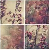 Bild auf Leinwand - Leinwandbild - 3 Teile - Blumen Regen Produktbild-Vorschau 8