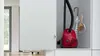 Aspirateur traîneau Bosch Série 2 BGBS2RD1, 3,5 L, Voir les images du produit 7