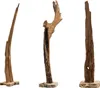 Naturbelassene Design Skulptur REEF 100-125cm aus Treibholz Produktbild-Vorschau 10
