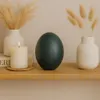 Echtes Emu Ei Natur 13 cm – ausgeblasenes Deko Ei Produktbild-Vorschau 7
