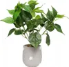 Künstliche Topfpflanze Philodendron 38 cm für Home Office Produktbild-Vorschau 2