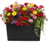 HowHomely | Übertopf - Blumentopf 2er Set - Pflanztopf - Produktbild-Vorschau 5