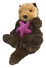 A plush toy sea otter holding a pink starfish. Produktbild-Vorschau