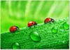 Tulup® Glas-Bild - 100 x 70 - Wandbild aus Glas - Wandkunst Produktbild-Vorschau 1