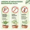 SF Nematoden gegen Ameisen- 20 Mio. für 40m² Mittel gegen Produktbild-Vorschau 2