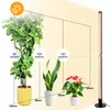 A diagram showing different plants at varying distances from a grow light, with light intensity measurements indicated. Náhľad obrázku produktu