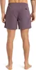Quiksilver Herren Boardshort EVERYDAY SOLID VOLLEY 15, Produktbild-Vorschau 4