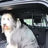 Auto Hunde Gitter Gepäckgitter Kombi Transportgitter Trenngitter Schutzgitter – Produktansicht 5 Produktbild-Vorschau