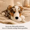 Habibi Plush Classic Wärmetier Australian Shepherd Produktbild-Vorschau 3
