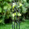Jardin Terrasse Pergola pour rosiers - Idéal acier noir Voir les images du produit 11