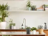 A kitchen counter with plants and a sink. Produktbild-Vorschau