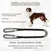 Diagram showing a dog with highlighted areas indicating pain and weakness in the hind legs, accompanied by a product image and size specifications. Produktbild-Vorschau