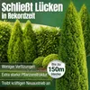 Heckenretter Heckendünger Dünger für grüne Hecken Turbo Produktbild-Vorschau 4