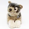 A plush toy wolf puppy lying down, presented against a white background. Produktbild-Vorschau
