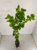 A potted plant with green leaves and a wooden stake. Náhľad obrázku produktu