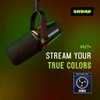 Shure MV7+ Podcast Mikrofon mit Produktbild-Vorschau 22