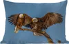 MuchoWow® Outdoor Kissen - Vogel - Äste - Adler - Raubvögel Produktbild-Vorschau 1