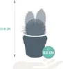Zestaw kaktusów - 3 rosliny doniczkowe, srednica 8,5cm - Podgląd zdjęcia produktu 2