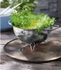 Salatschleuder 24cm, Gourmet / WMF Produktbild-Vorschau 8