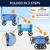 Beach Wagon Bollerwagen LITE, Handwagen faltbar klappbar, Produktbild-Vorschau 2