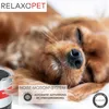 PRO | Formateur en relaxation CHIEN Voir les images du produit 8