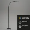 Briloner Leuchten - LED Stehleuchte, Stehlampe mit Produktbild-Vorschau 2