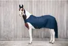 Kentucky Walker 160g Teppich Blau 140 cm Blau 140 cm Produktbild-Vorschau 2