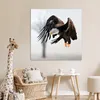 MuchoWow® Poster Weißgesicht-Seeadler - Adler - Raubvogel - Produktbild-Vorschau 8