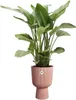 elho® Vibes bac à plantes Fold Cup Rose pâle Ø 30 cm - Voir les images du produit 3