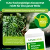 Purgrün Ficus-Benjamini-Dünger 1 Liter, Produktbild-Vorschau 4