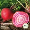 Samenliebe  Rote Bete Samen alte Sorte Chioggia süße feine Produktbild-Vorschau 3