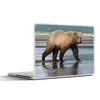 MuchoWow® Laptop Aufkleber Sticker Cover Bär - Strand - Produktbild-Vorschau 1