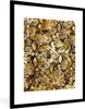 MuchoWow® Gerahmtes Poster Tierhaut - Schlange - Gold 60x80 Produktbild-Vorschau 1