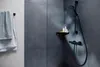 hansgrohe Ecostat Fine Brausethermostat Aufputz, Produktbild-Vorschau 6
