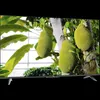 TCL T69C 50T69C, 127 cm (50"), 3840 x 2160 Pixel, LCD, Produktbild-Vorschau 1