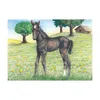 goki kocka puzzle zvieratká 9 ks 57607 drevené puzzle pre Náhľad obrázku produktu 6