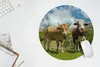 MuchoWow® Mauspad Mousepad Alpen - Kühe - Gras 50x50 cm - Produktbild-Vorschau 5