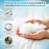 Hands holding a white feather over a white duvet, with circular icons and text describing product features. Produktbild-Vorschau