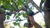 Akku-Säge mit NanoBlade-Technologie UniversalCut 18V-65 Produktbild-Vorschau 5