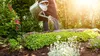 A person watering plants in a garden with sunlight streaming in. Produktbild-Vorschau