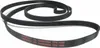 Cintura con nervatura a V CONTITECH 4PK592 ELAST Anteprima dell’immagine prodotto 11