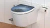 SCHÜTTE Duroplast HG WC sedátko WATER LILY, WC poklop s Náhled obrázku produktu 17