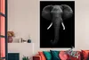 MuchoWow® Poster Elefant - Wildtiere - Schwarz - Weiß - Produktbild-Vorschau 2