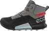 Buty Ecco Biom 2.1 Mountain Mid Gtx 82380450598 Podgląd zdjęcia produktu 40