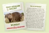 Teddy herman wombat, approx. 26cm Voir les images du produit 3