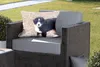 MuchoWow® Outdoor Kissen - Berner Sennenhund Welpe am Produktbild-Vorschau 5
