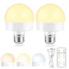 Two LED light bulbs with a remote control and USB cable on a white background. Voir les images du produit