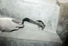 PCI Polyfix 5 Min. Blitz-Zement-Mörtel 5kg Produktbild-Vorschau 6