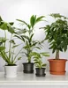 Garronda Blumentopf rund Kunststoff für Blumen und andere Produktbild-Vorschau 5